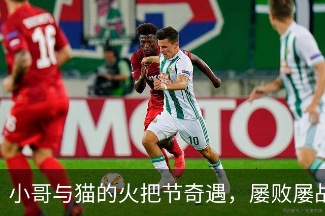 小哥与猫的火把节奇遇，屡败屡战的搞笑故事